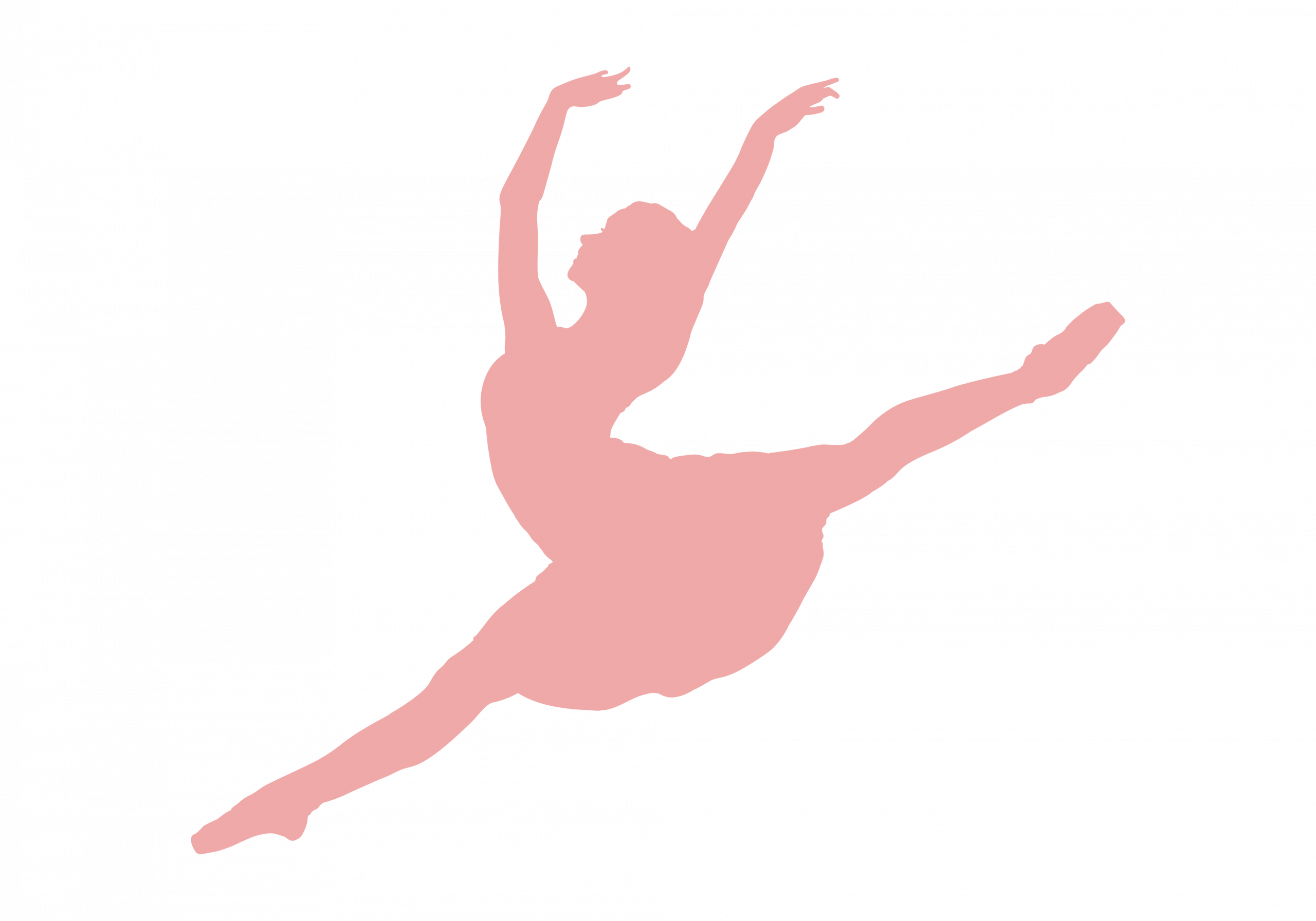 Lacey Canutt     |     Lacey on pointe